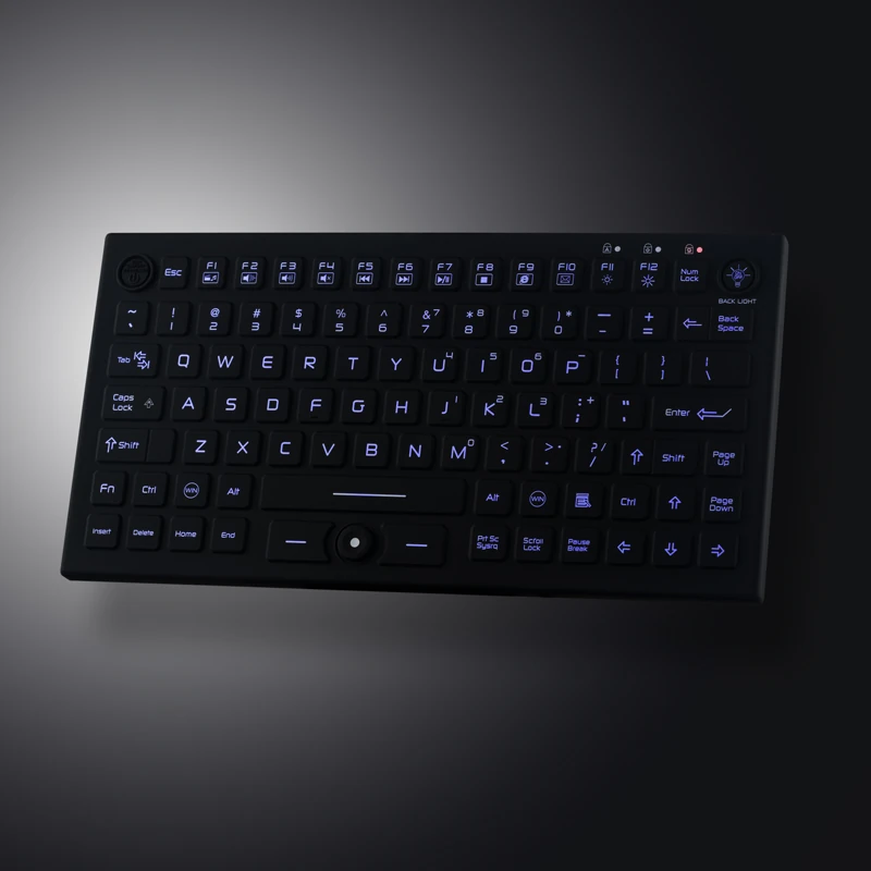 D-87C Panel Mount Silicone Keyboard